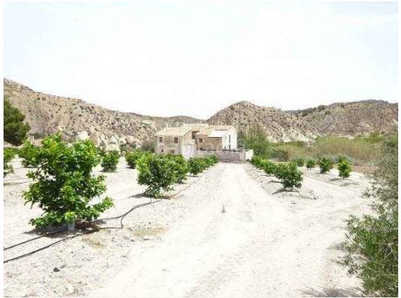 Foto 8b2d4391-0e82-4fda-a0a7-b31a59e4d76c. Finca rústica a Ricote