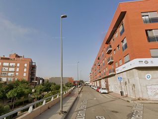 Pis a San José