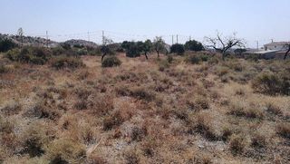 Terreno residenziale  Pedania la hoya. Oportunidad para inversores y particulares