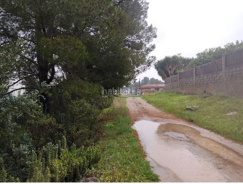 Foto 3d9db07a-afd9-488c-ab3a-664d76e39e51. Terreny residencial a Catadau