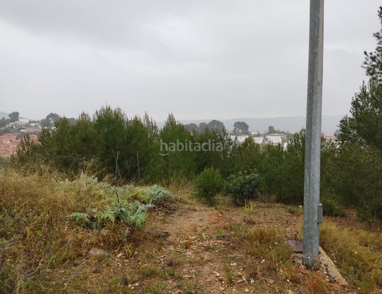 Foto b869eab1-00f6-401e-b266-3503716bdc06. Terreny residencial a Catadau