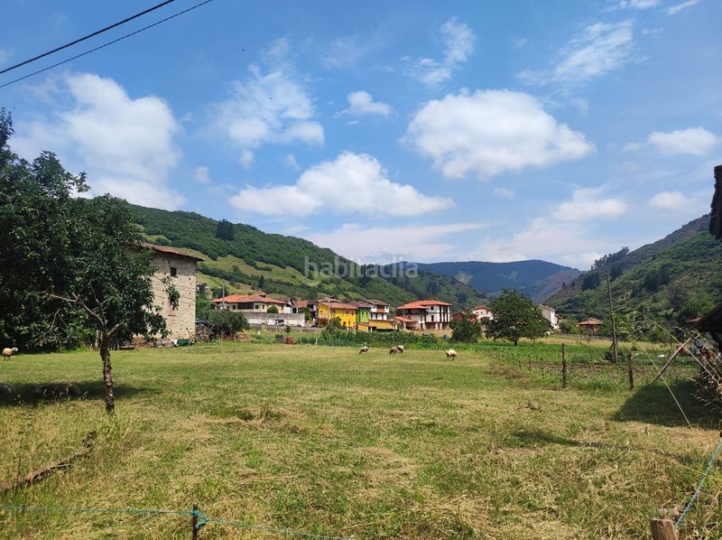 Foto d830aad8-4d37-4ab1-8c0a-67e933317208. Edificio in Tineo