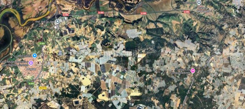 Foto 05e4bb71-98f3-41c3-a87c-27207f57da50. Residential plot in Moguer