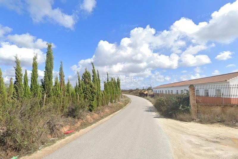 Foto 24ac146b-6958-44e9-ad29-a2f0cf5d7bbe. Residential plot in Moguer