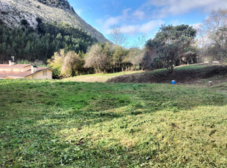 Terreny residencial  Otañes-corrales 8(h). Oportunidad para inversores y particulares.