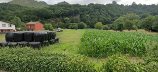 Wohngrundstück  Vega del contranquil sur-3, la jazona. Oportunidad para inversores y particulares.