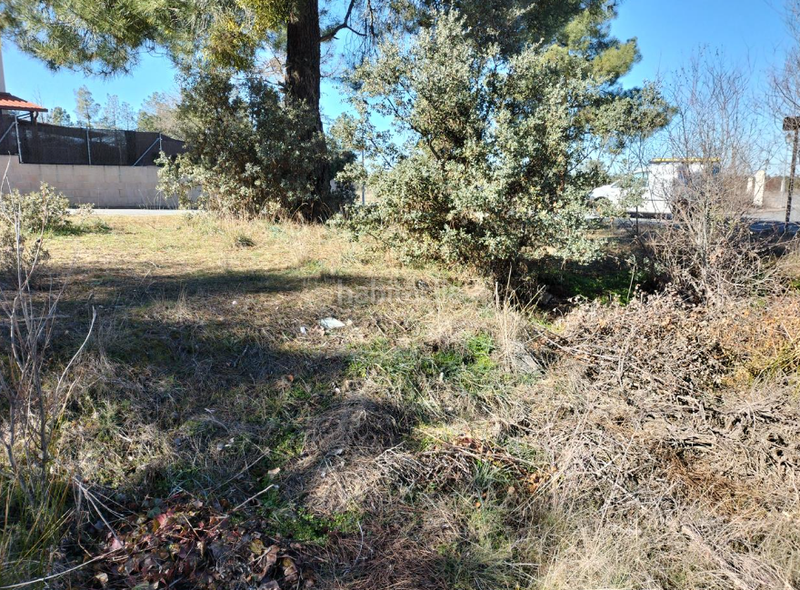 Foto 46c0865d-bb82-4ef1-bcee-b17bf9b4d760. Terrain résidentiel dans Marugán