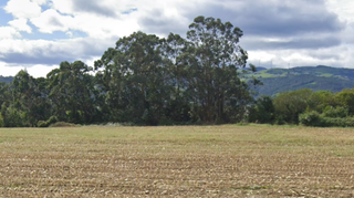 Terreno residencial  Los pulpinos. Oportunidad para inversores y particulares