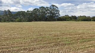 Terreno residencial  Parcelas - estaca. Oportunidad para inversores y particulares