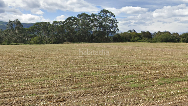 Foto 7fe7a2a1-989e-482a-90a5-5938ddce311e. Terreny residencial a Valdés