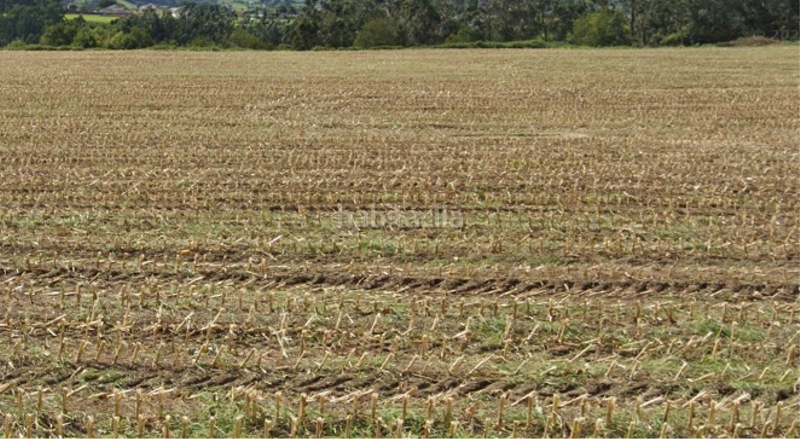 Foto dcc6dfbd-0f3f-428b-bcba-e52f36c4b162. Terreny residencial a Valdés