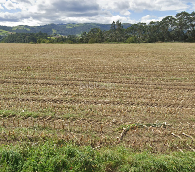 Foto e1fed18f-b33c-48e7-bda0-9af88924a0d1. Terreny residencial a Valdés