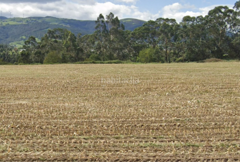 Foto 9aec9ed0-60d1-451b-ae5a-c853cb88c618. Terreny residencial a Valdés