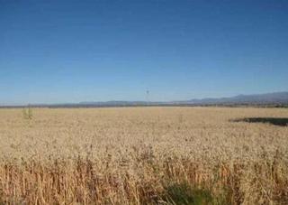 Terreny residencial  La pedriza. Suelo urbanizable  u.au2r  entorno sector 13  algete madrid