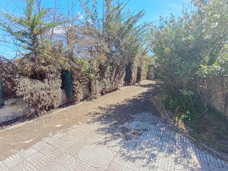 Foto 2ed0ef9b-6bf7-478d-9737-bb500303ed86. Casa a manuel de falla 6 a Simancas