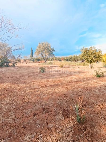 Foto 5a356baf-8776-4c98-9fe0-63d30eec84a7. Bauernhof in camino de los almendros 6 in Zona de la Vega Antequera