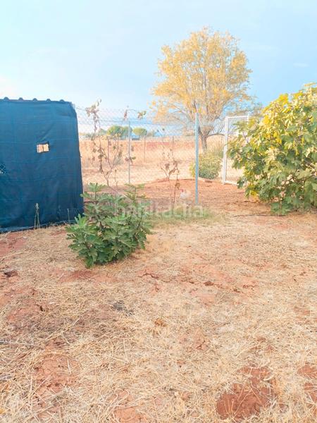 Foto 8ce686fb-533b-44f8-bd5b-95ba11cc5fe3. Bauernhof in camino de los almendros 6 in Zona de la Vega Antequera