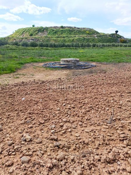 Foto cfb73509-b6d2-4b21-a979-e321d1c8b7c1. Finca rústica a Mollina