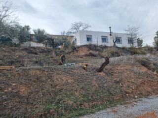 Masia en Fiana. Dos cortijos en fiana