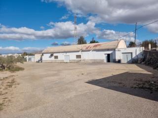 Miete Fabrikhalle in Pechina. Nave industrial mas parcela de 600 metros