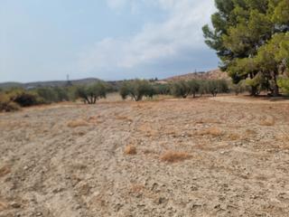 Industrial plot in Benahadux. Solar industrial en benahadux