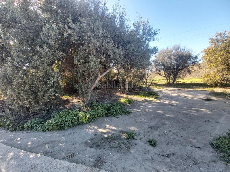 Foto b9a60407-fad5-4cc7-ae33-eb691f4e124d. Finca rústica en al-3117 3 parcela rustica en Pechina