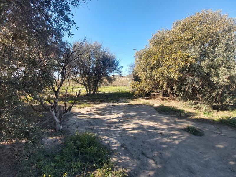 Foto c664041d-f29e-4c38-a09b-b97b104b2dcd. Finca rústica en al-3117 3 parcela rustica en Pechina