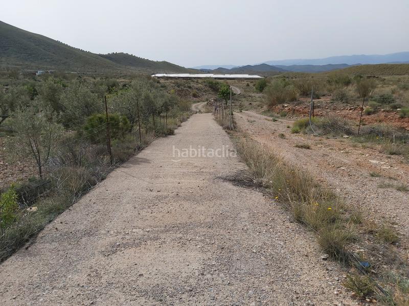Foto 1205b724-f2fe-4448-bbea-96603d27afaf. Masía finca con cortijo en gergal en Gérgal