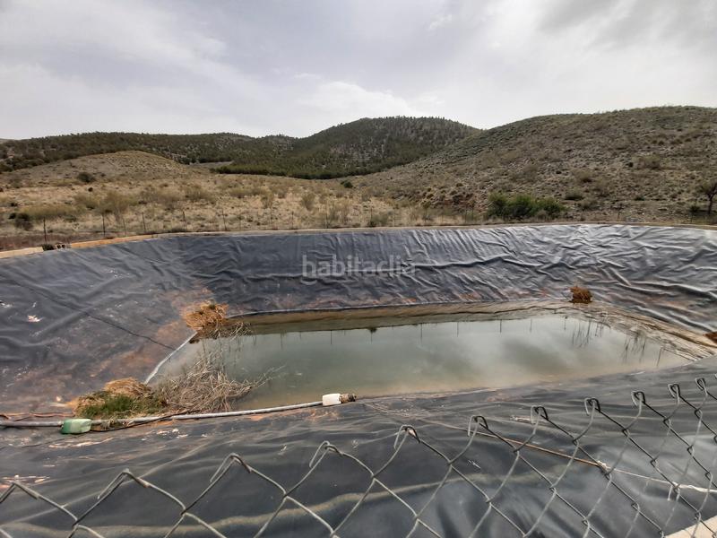Foto 50c2f25d-ce07-4737-bbf5-ba0886a348bb. Masía finca con cortijo en gergal en Gérgal