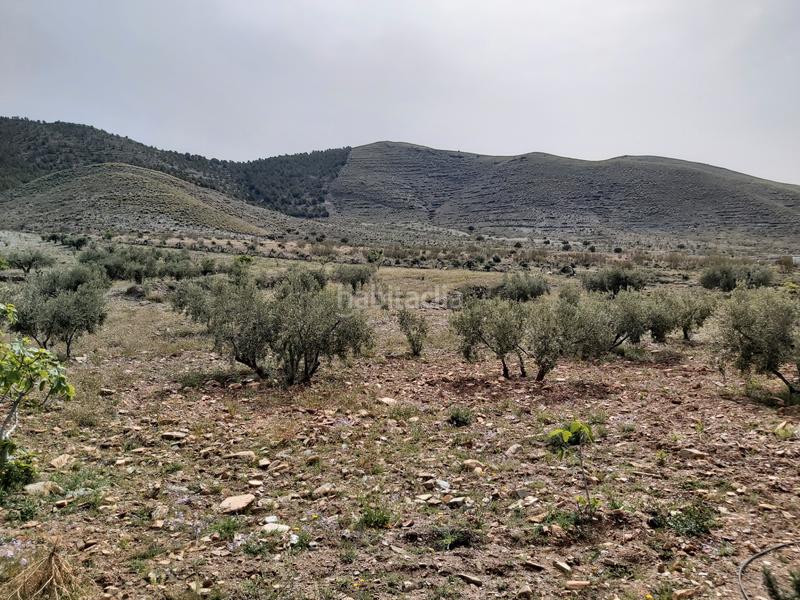 Foto 56b29538-eebd-41f4-a7b3-13d7d8ecc4c9. Masía finca con cortijo en gergal en Gérgal