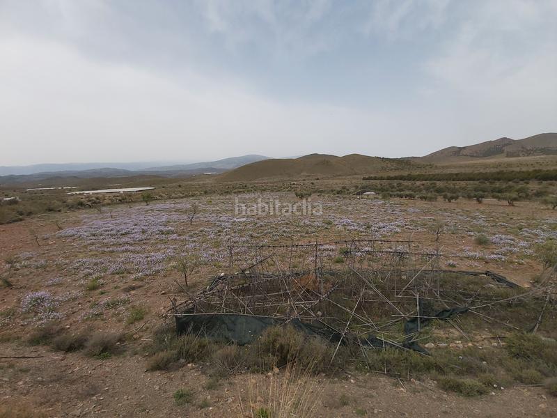 Foto a6035fbd-3d91-40c9-a698-6073ef719187. Masía finca con cortijo en gergal en Gérgal