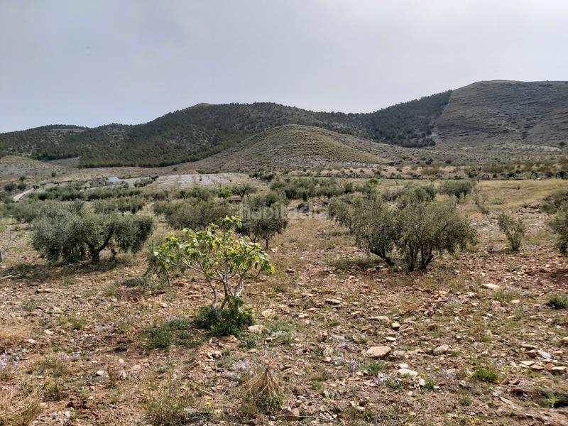 Foto fe2ea2d6-93a7-4cf3-9276-656f63afe8f9. Masía finca con cortijo en gergal en Gérgal