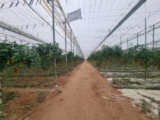 Finca rstica en Pozo de los Frailes-Presillas-Albaricoques