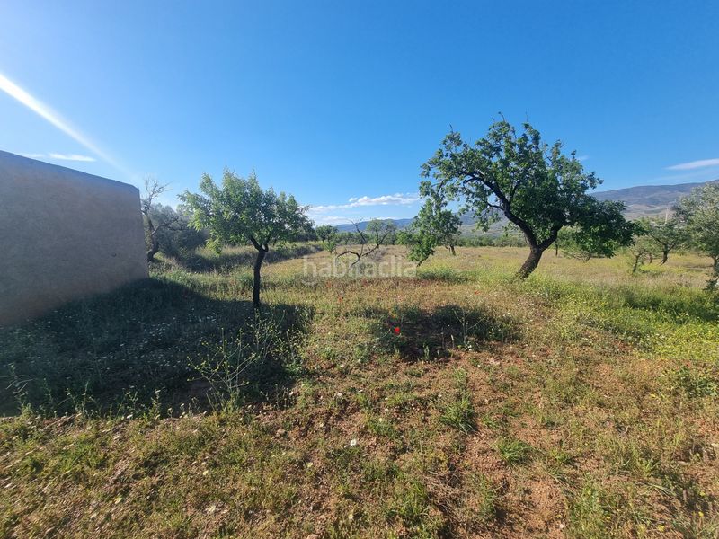 Foto 71e5591d-01d1-487a-8c36-27d7a1f02665. Finca rústica a carretera Pechina 13 a Pechina