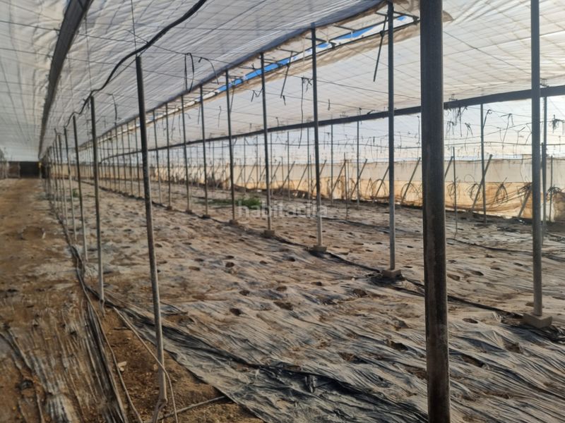 Foto 53cbb794-f9d9-4468-ac83-359f110290c8. Finca rústica a San Isidro - Campohermoso Níjar