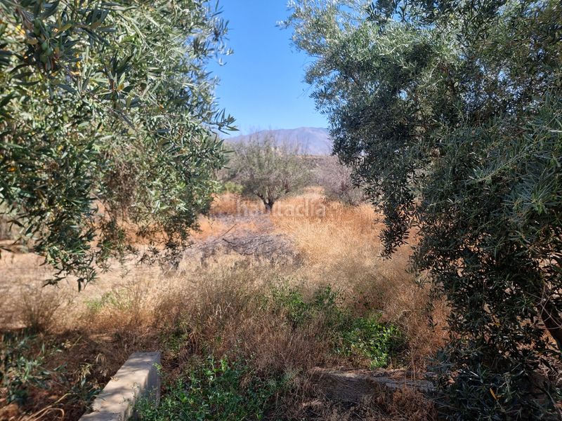 Foto 928f3177-3716-4e76-8ec2-a982a6d87102. Finca rústica a camino rambli 17 a Pechina
