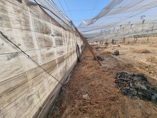 Fondo rustico  Calle real 7b. Finca para cultivo agricola alhabia, almeria