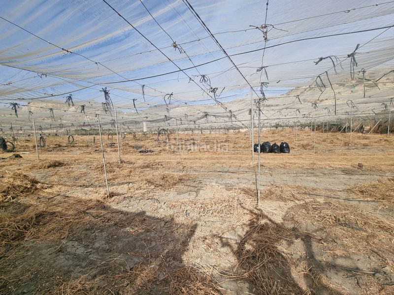 Foto c3fa2589-e47f-4ee7-b125-89518730bf75. Finca rústica a calle real 7b a Terque