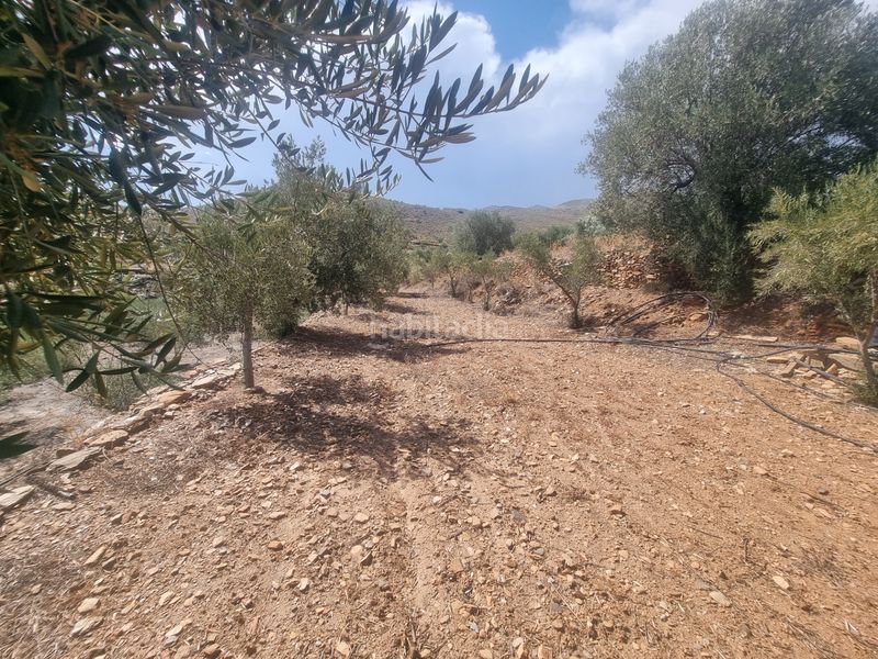 Foto 1b33d532-e225-4ce9-acbf-3c1abc561334. Finca rústica a n/a a Senés