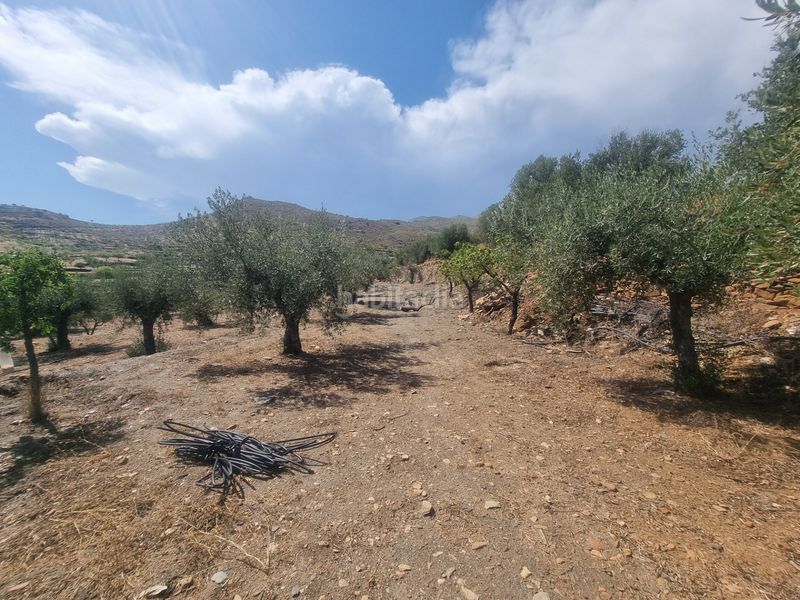 Foto a11c12d7-e455-4d9d-afda-e7fc40f359b0. Finca rústica a n/a a Senés