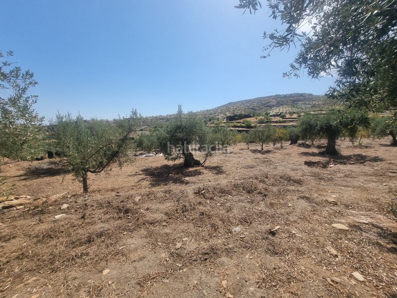 Foto a34fc040-4add-4059-aa68-177817b5b989. Finca rústica a n/a a Senés