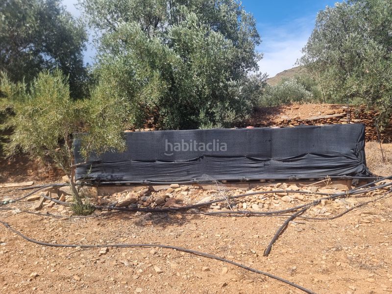 Foto cc3f5414-622e-4d40-bdc5-e7ae1aa2da0e. Finca rústica a n/a a Senés