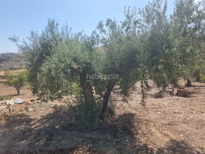 Foto e7564ee3-f321-40dd-aaca-702271822ad3. Finca rústica a n/a a Senés