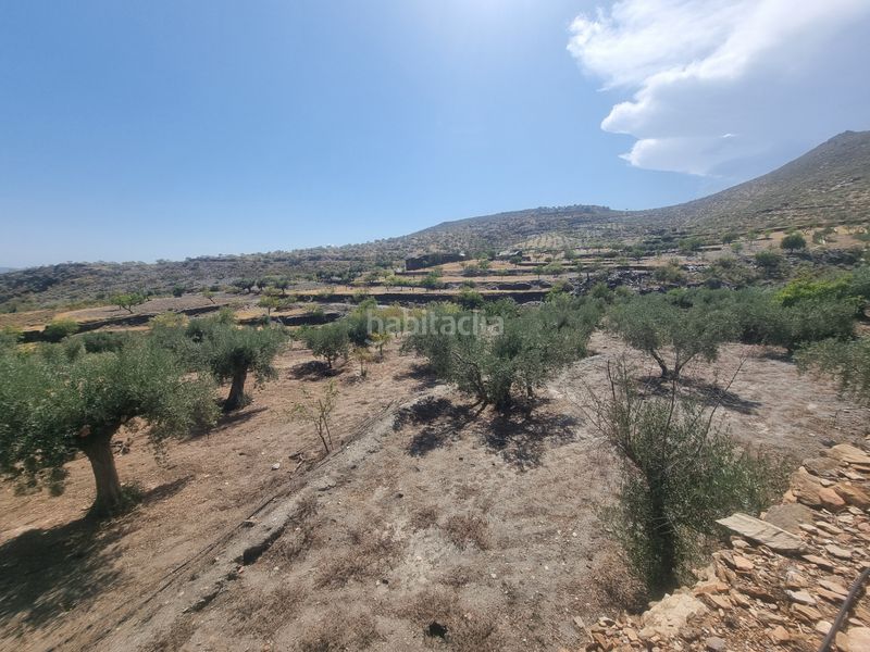 Foto e8e353de-3c03-4c87-b23d-227ee88b118e. Finca rústica a n/a a Senés