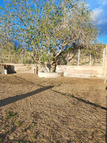 Foto d94d5300-4308-45e2-bb09-f5340dee687a. Finca rústica a carretera el mami a Viator 14 a Viator