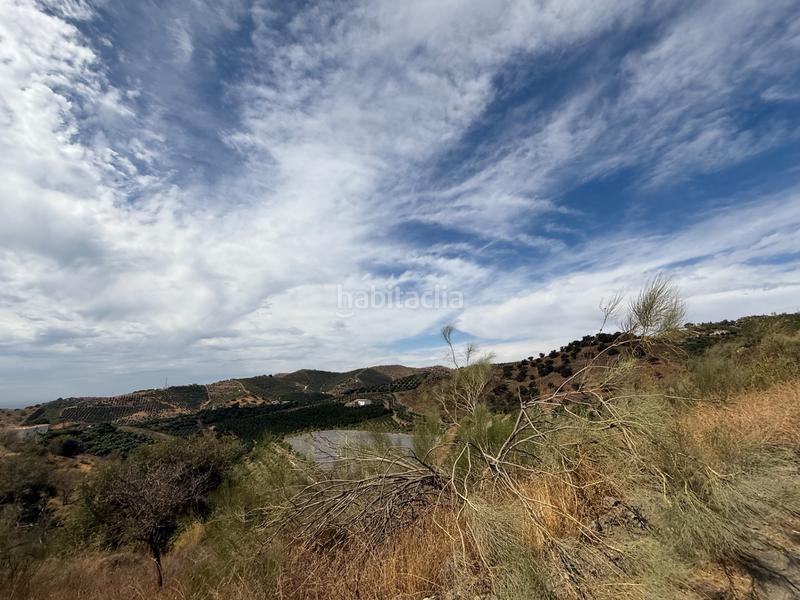 Foto 1842a494-b68f-4891-bb08-d19d1c37da0c. Bauernhof mit pool in Camino Viejo de Málaga Vélez - Málaga