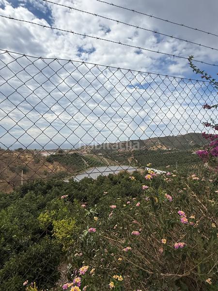 Foto 244365de-ad42-402b-9d4b-471038eb6b03. Bauernhof mit pool in Camino Viejo de Málaga Vélez - Málaga