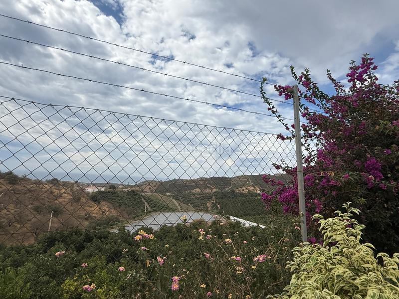 Foto 645a7dc8-e457-4f80-af59-0d7c704206c6. Bauernhof mit pool in Camino Viejo de Málaga Vélez - Málaga