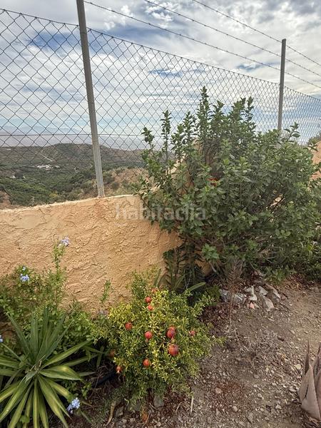 Foto 68d86da5-f40b-47c8-ba94-3a1e16f4fae3. Bauernhof mit pool in Camino Viejo de Málaga Vélez - Málaga