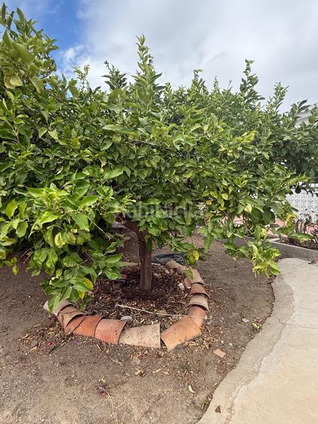 Foto 84a3f7e4-c3b5-4494-a40f-8654f5ea800e. Bauernhof mit pool in Camino Viejo de Málaga Vélez - Málaga